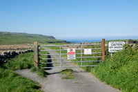 Ireland-4272