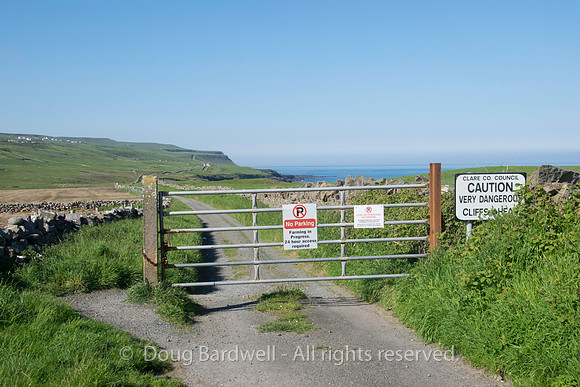 Ireland-4272