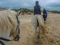 Ireland-8501
