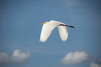 Lake-Toho-9202