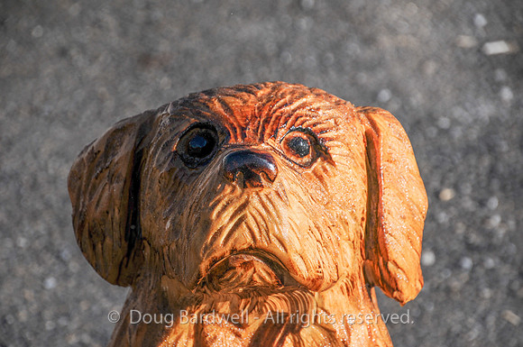 Chainsaw-Carvers-1019