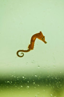 100922_3CS1696