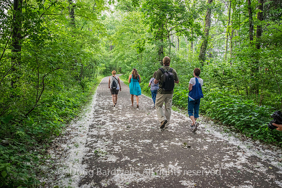Sheldons_Marsh-8311