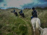 Ireland-8503