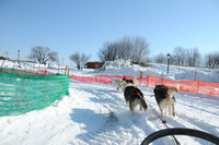 Quebec_Winter_Carnival-8308