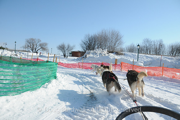 Quebec_Winter_Carnival-8308