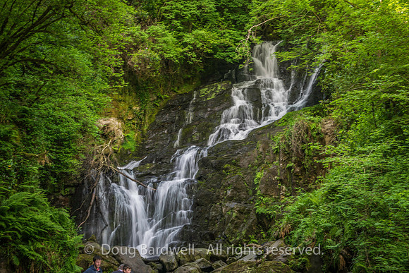 Ireland-5598