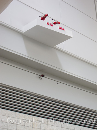 100602IMG_2237