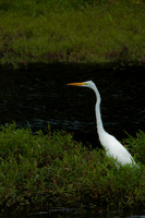 100921_3CS0997