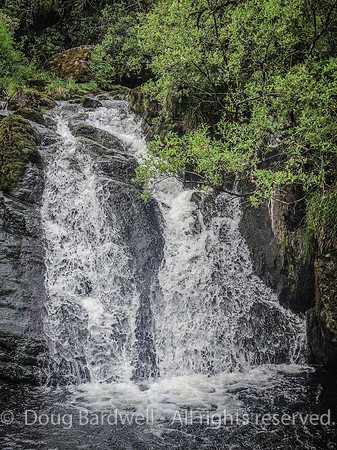 Waterfall_Farm-8903