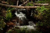 100807_3CS1353