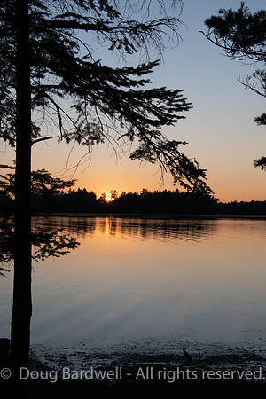 200805-3606