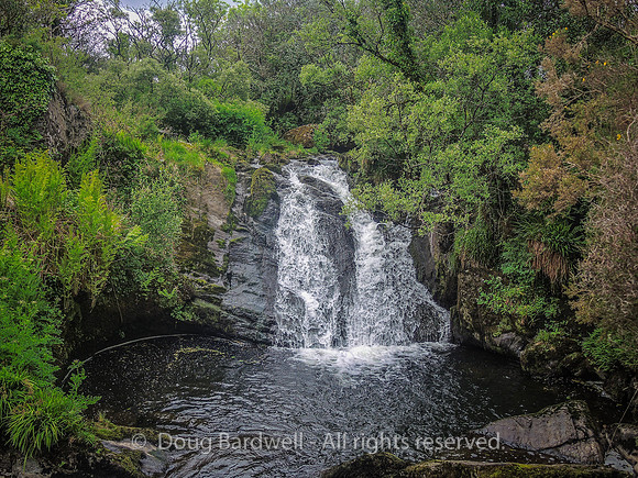Waterfall_Farm-8901