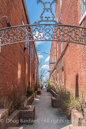 Bardstown-5193