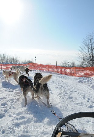 Quebec_Winter_Carnival-8307