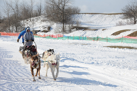 Quebec_Winter_Carnival-8314