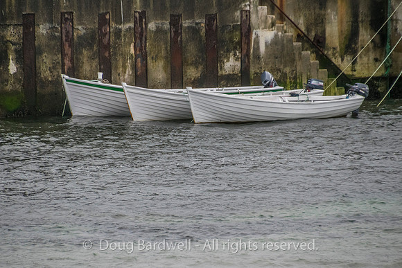Ireland-1396
