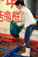 Fugui fishmarket-1539