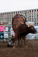 Rodeo-7732
