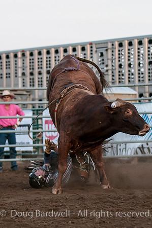 Rodeo-7732