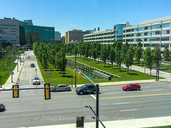190611-L16_05015