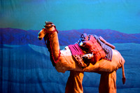 Joseph-0158
