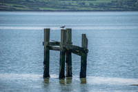 Ireland-2-2