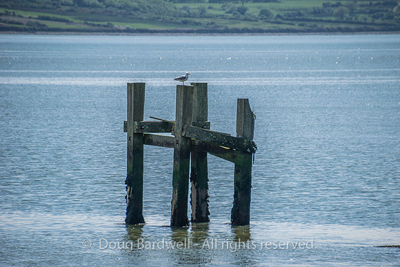 Ireland-2-2