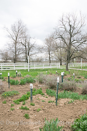 Shaker Village-5728