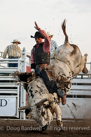 Rodeo-5957