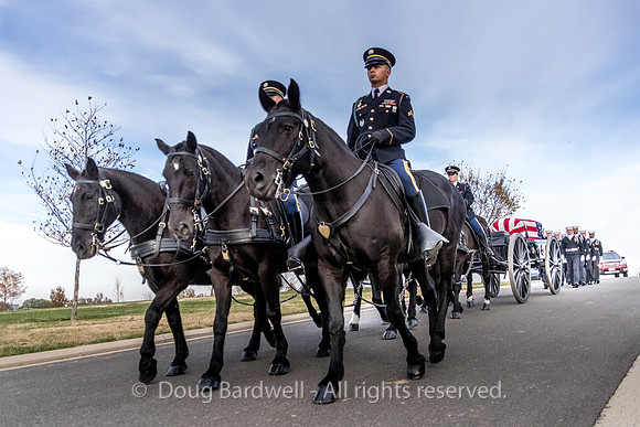 Arlington -181119-9690