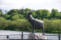 Ireland-4605