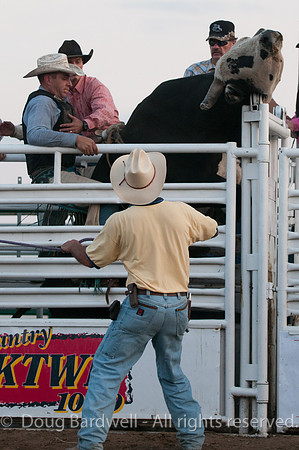 Rodeo-7795