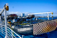 251101-Z9-6637DH
