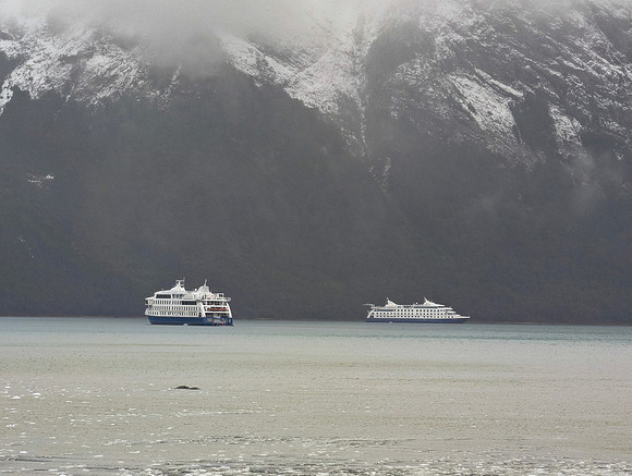 PXL_20251103_180143463.RAW-01