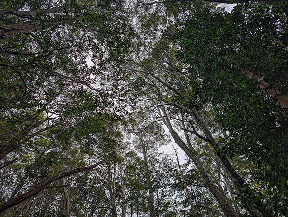 PXL_20251108_133932491.RAW-01