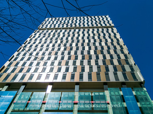200313-L16_05937