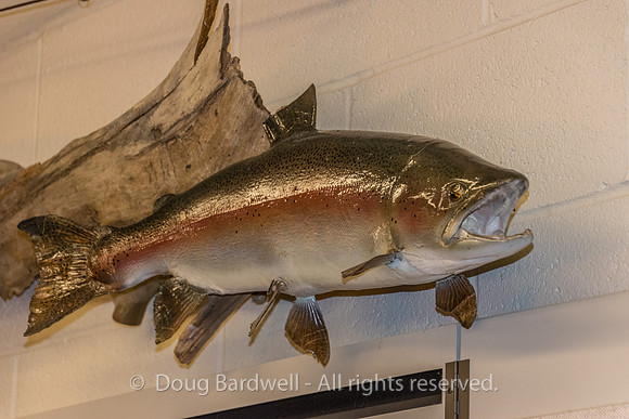 Presque_Isle-9363