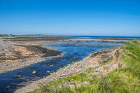 Ireland-4445