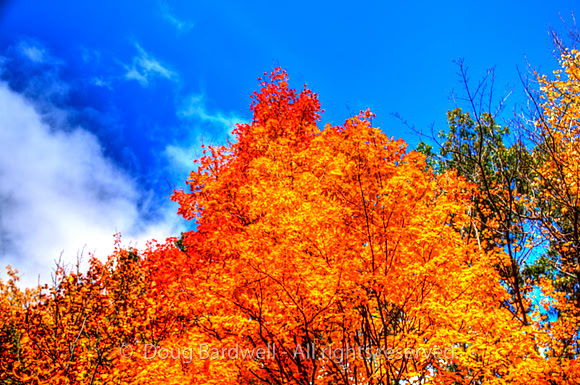 121016-2459_H