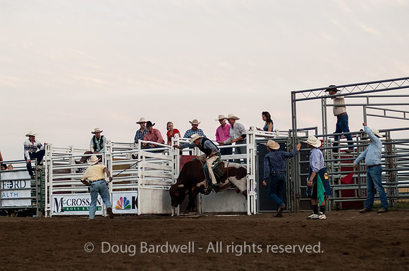 Rodeo-5976
