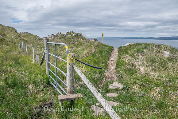Sheepshead-3234