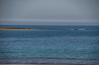Ireland-4459