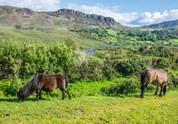 Ireland-4636