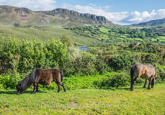 Ireland-4636