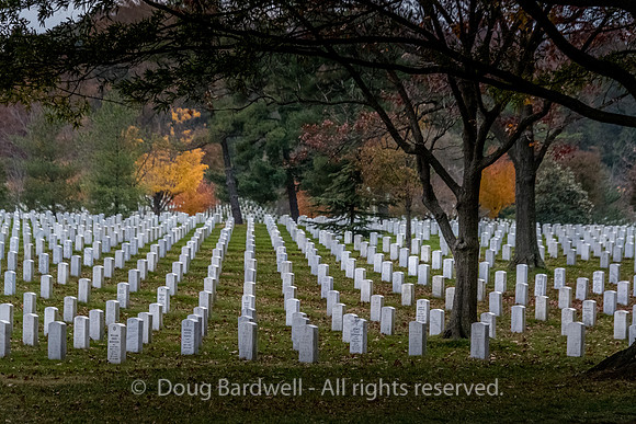 Arlington -181119-9929