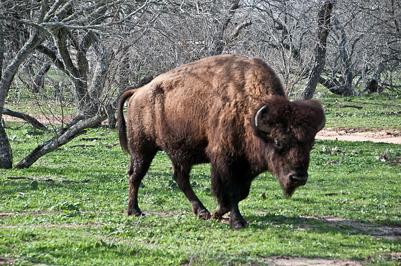 120220DSC_1862