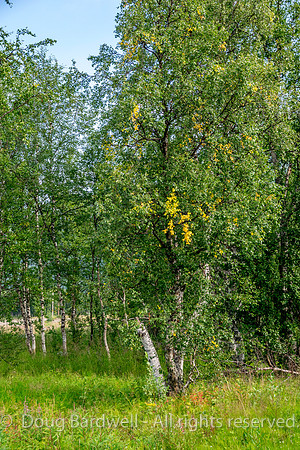 150824-9920