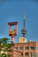 ChinatownToronto-12