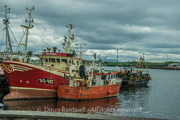 Donegal-2172